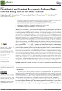 Cover page: Physiological and Structural Responses to Prolonged Water Deficit in Young Trees of Two Olive Cultivars