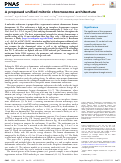 Cover page: A proposed unified mitotic chromosome architecture