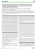 Cover page: Quantitative phosphoproteomics reveals involvement of multiple signaling pathways in early phagocytosis by the retinal pigmented epithelium.