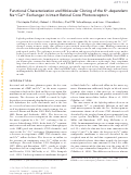 Cover page: Functional Characterization and Molecular Cloning of the K+-dependent Na+/Ca2+ Exchanger in Intact Retinal Cone Photoreceptors