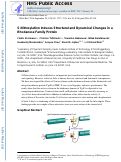 Cover page: S-Nitrosylation Induces Structural and Dynamical Changes in a Rhodanese Family Protein