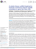 Cover page: A mitotic kinase scaffold depleted in testicular seminomas impacts spindle orientation in germ line stem cells