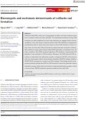 Cover page: Bioenergetic and excitotoxic determinants of cofilactin rod formation