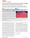 Cover page: Polaritonic Probe of an Emergent 2D Dipole Interface