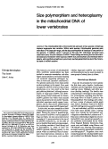 Cover page: Size polymorphism and heteroplasmy in the mitochondrial DNA of lower vertebrates.