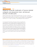 Cover page: Mapping molecular landmarks of human skeletal ontogeny and pluripotent stem cell-derived articular chondrocytes