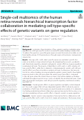 Cover page: Single-cell multiomics of the human retina reveals hierarchical transcription factor collaboration in mediating cell type-specific effects of genetic variants on gene regulation.