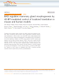 Cover page: BAD regulates mammary gland morphogenesis by 4E-BP1-mediated control of localized translation in mouse and human models