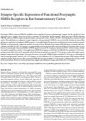 Cover page: Synapse-specific expression of functional presynaptic NMDA receptors in rat somatosensory cortex