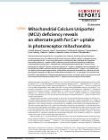 Cover page: Mitochondrial Calcium Uniporter (MCU) deficiency reveals an alternate path for Ca2+ uptake in photoreceptor mitochondria.