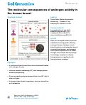 Cover page: The molecular consequences of androgen activity in the human breast