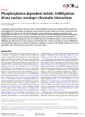 Cover page: Phosphorylation-dependent mitotic SUMOylation drives nuclear envelope–chromatin interactions