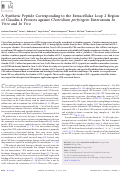 Cover page: A Synthetic Peptide Corresponding to the Extracellular Loop 2 Region of Claudin-4 Protects against Clostridium perfringens Enterotoxin In Vitro and In Vivo