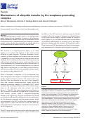 Cover page: Mechanisms of ubiquitin transfer by the anaphase-promoting complex