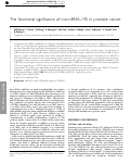 Cover page: The functional significance of microRNA-145 in prostate cancer