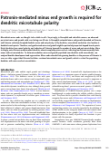 Cover page: Patronin-mediated minus end growth is required for dendritic microtubule polarity
