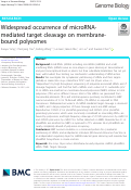 Cover page: Widespread occurrence of microRNA-mediated target cleavage on membrane-bound polysomes