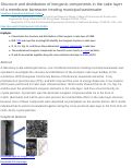 Cover page: Structure and distribution of inorganic components in the cake layer of a membrane bioreactor treating municipal wastewater