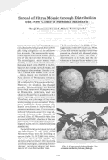Cover page: Spread of Citrus Mosaic through Distribution of a New Clone of Satsuma Mandarin
