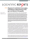 Cover page: Rapamycin modulates tissue aging and lifespan independently of the gut microbiota in Drosophila