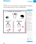 Cover page: Intramodal cortical plastic changes after moderate visual impairment in human amblyopia