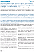 Cover page: Extracellular Sulfatases, Elements of the Wnt Signaling Pathway, Positively Regulate Growth and Tumorigenicity of Human Pancreatic Cancer Cells