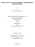 Cover page: Redox control of iron biomineralization in Magnetospirillum magneticum AMB-1