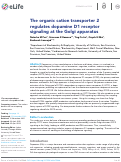 Cover page: The organic cation transporter 2 regulates dopamine D1 receptor signaling at the Golgi apparatus