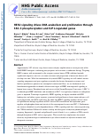 Cover page: HER2 Signaling Drives DNA Anabolism and Proliferation through SRC-3 Phosphorylation and E2F1-Regulated Genes.