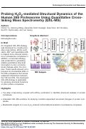 Cover page: Probing H<sub>2</sub>O<sub>2</sub>-mediated Structural Dynamics of the Human 26S Proteasome Using Quantitative Cross-linking Mass Spectrometry (QXL-MS).