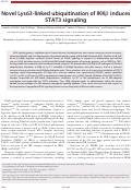 Cover page: Novel Lys63-linked ubiquitination of IKKβ induces STAT3 signaling