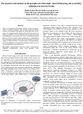 Cover page: Perceptual colorization of the peripheral retinotopic visual field using adversarially-optimized neural networks