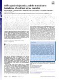 Cover page: Self-organized dynamics and the transition to turbulence of confined active nematics