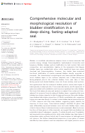 Cover page: Comprehensive molecular and morphological resolution of blubber stratification in a deep-diving, fasting-adapted seal