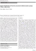 Cover page: Spatial distribution of bacteria associated with the marine sponge Tethya californiana