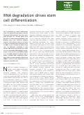 Cover page: RNA degradation drives stem cell differentiation.