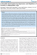 Cover page: A Versatile Viral System for Expression and Depletion of Proteins in Mammalian Cells