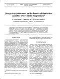Cover page: Gregarious settlement by the larvae of Hydroides dianthus (Polychaeta; Serpulidae)