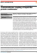 Cover page: Transmembrane coupling of liquid-like protein condensates.