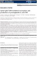 Cover page: Spinal glial TLR4‐mediated nociception and production of prostaglandin E2 and TNF