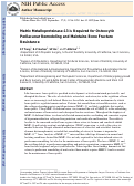 Cover page: Matrix metalloproteinase–13 is required for osteocytic perilacunar remodeling and maintains bone fracture resistance