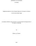 Cover page: Neighborhood Networks: Social and Spatial Organization of Domestic Architecture in Greco-Roman Karanis, Egypt