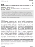 Cover page: Binding pathway determines norepinephrine selectivity for the human β1AR over β2AR