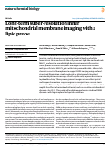 Cover page: Long-term super-resolution inner mitochondrial membrane imaging with a lipid probe.