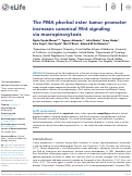 Cover page: The PMA phorbol ester tumor promoter increases canonical Wnt signaling via macropinocytosis