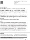 Cover page: Lhx6 and Lhx8 promote palate development through negative regulation of a cell cycle inhibitor gene, p57Kip2