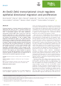 Cover page: An Ovol2‐Zeb1 transcriptional circuit regulates epithelial directional migration and proliferation