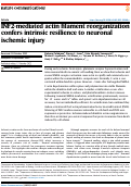 Cover page: INF2-mediated actin filament reorganization confers intrinsic resilience to neuronal ischemic injury.