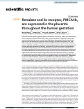 Cover page: Renalase and its receptor, PMCA4b, are expressed in the placenta throughout the human gestation