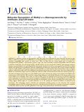 Cover page: Molecular Recognition of Methyl α‑d‑Mannopyranoside by Antifreeze (Glyco)Proteins